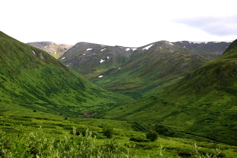 070404 Hope Hatcher Montana Creek (10184)